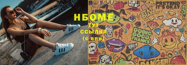 индика Слюдянка