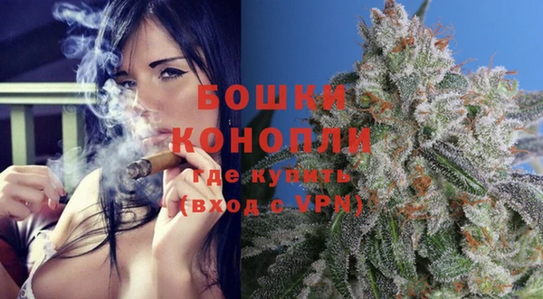 индика Слюдянка